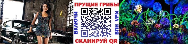 Псилоцибиновые грибы Psilocybine cubensis  наркошоп  Истра 